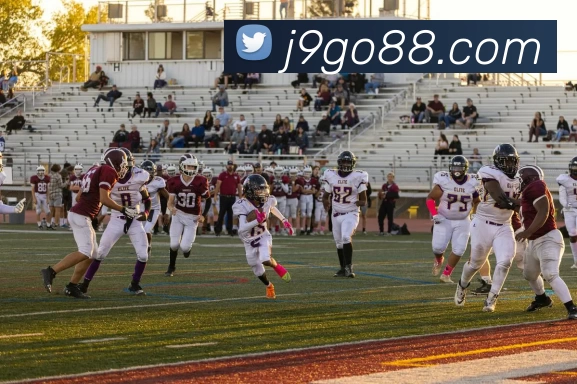 J9国际站官网全站App